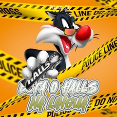 MEGA FUNK BOTA O HALLS NA LINGUA {DJ KELVEN SC}