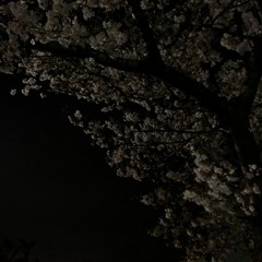 夜半の春