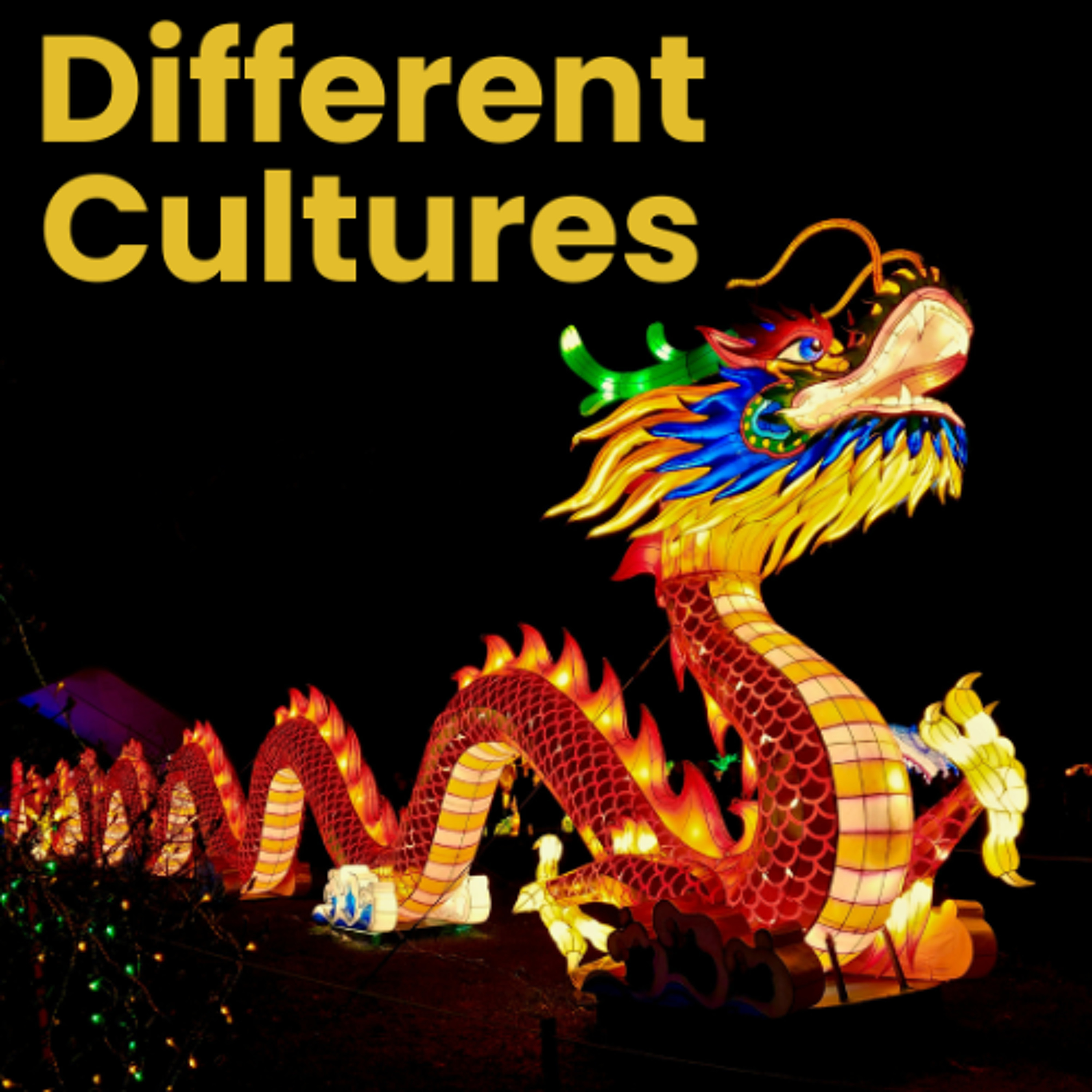 Different Cultures - Alex, Alan, Leo and Nathaneal - St Raphael's School episode artwork