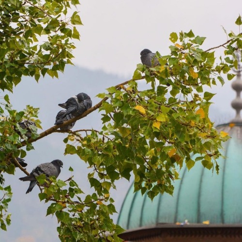 وَأَنجَيْنَا مُوسَىٰ | سورة الشعراء ١٤٤٤هـ | القارئ يونس اسويلص