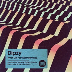 Dipzy - What Do You Want (Reginald wants acid remix)