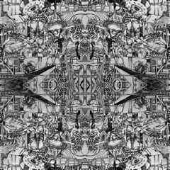 Nicho - Phantasma (Reflection Project)