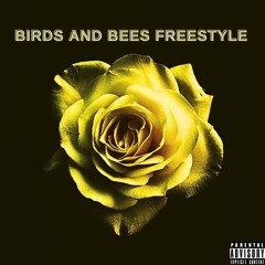 BIRDS AND BEES FREESTYLE