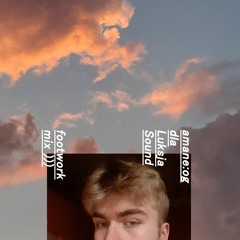 LUKSJA MIX 20 / amane:og