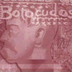 Êxito estado da mente - Álbum 01 -