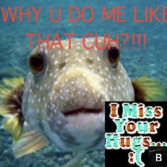 BRAILLED: DJ Birdo's Drank Method Mix