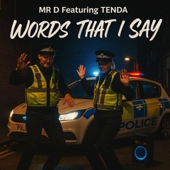 Mr D Featuring MC Tenda - Words That I Say