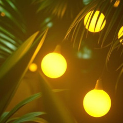 Bahama Breeze