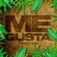 Djwanderson - Me Gusta (Set Mix)