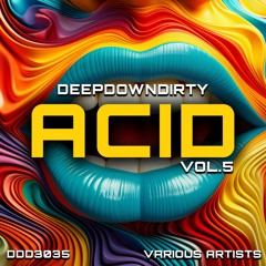 DeepDownDirty ACID Vol.5 VA - DJMarz Showcase MiniMix
