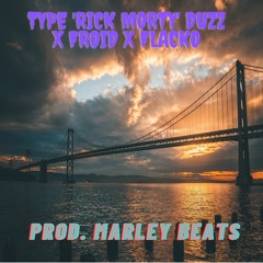 TYPE 'RICK MORTY' DUZZ X FROID  X FLACKO (PROD. MARLEY BEATS)