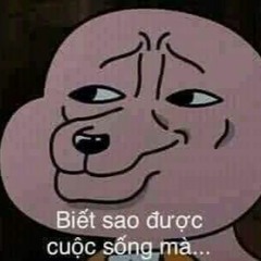 Cuộc Sống Đéo Giống Cuộc Đời -  DJ Sincii
