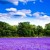 Artwork for Actualtalent background beat music FREE DOWNLOAD