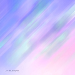 littleman - littlemix .02