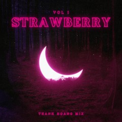 Strawberry Vol 1 - Exclusive Music - Thanh Hoang Mix 2023