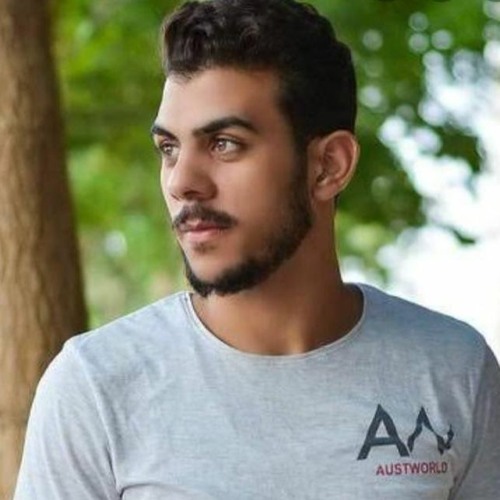 سورة الانعام بصوت القارئ اسلام صبحى