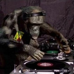 DjMehmetBaykaL (Flexible SeT)