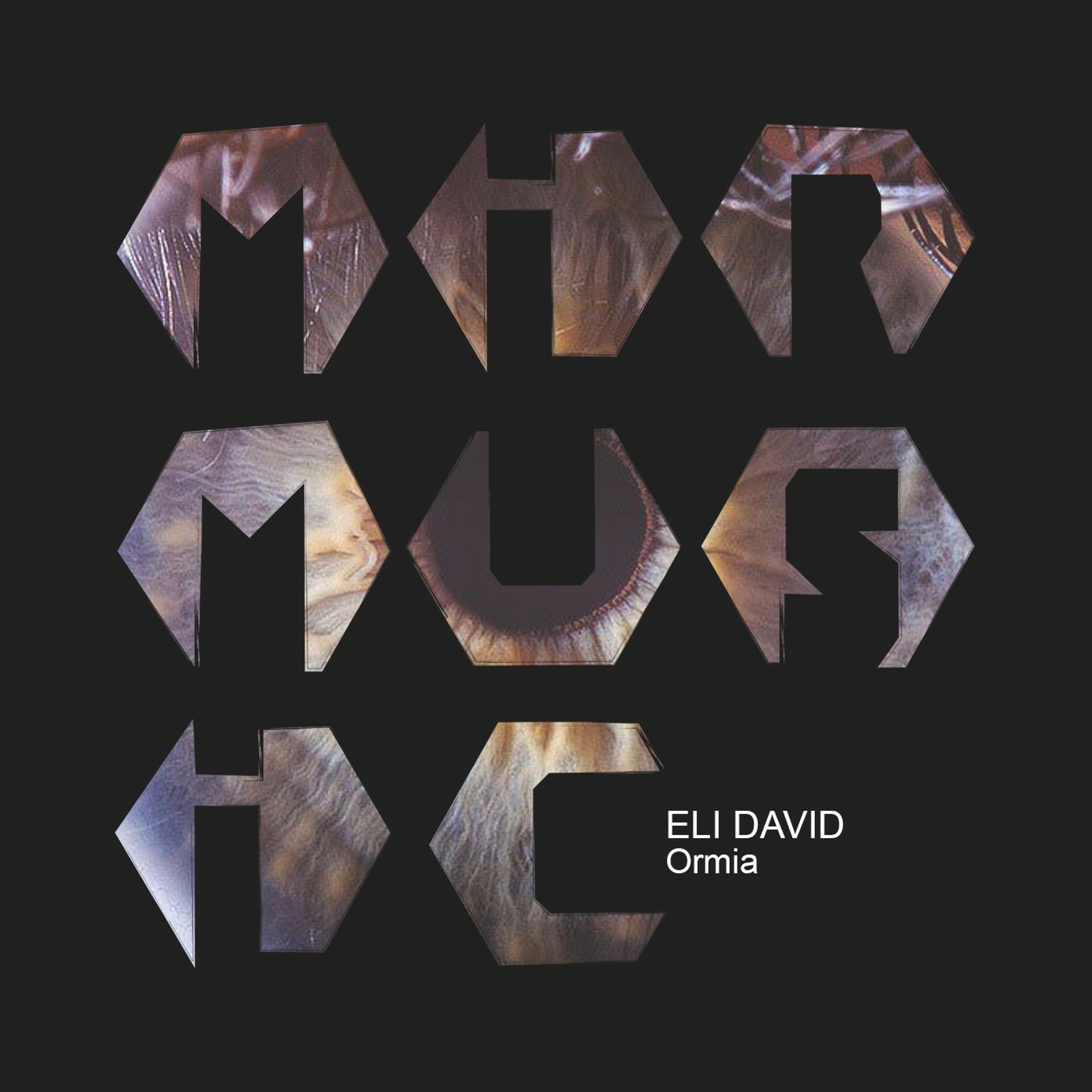 ELI DAVID