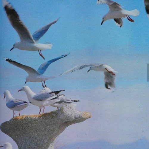Lounging w/ Josh: Psychedelic Rock Special - March 2022