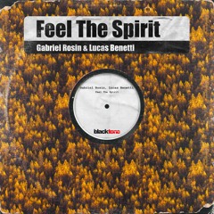 Gabriel Rosin, Lucas Benetti - Feel The Spirit