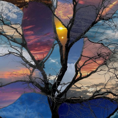 NO MORE (prod. purc)