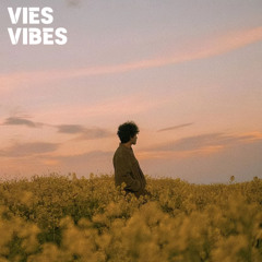 VIES VIBES - Tides | OUT NOW