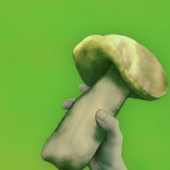 Shroom or Doom