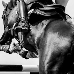 Don't Blame The Blues Get Back On That Saddle