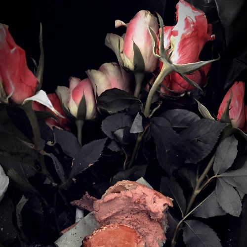 Leberwurst & Tulpen