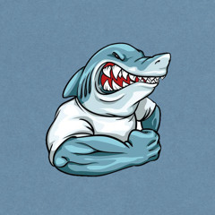 O Round 6 que Eu Quero