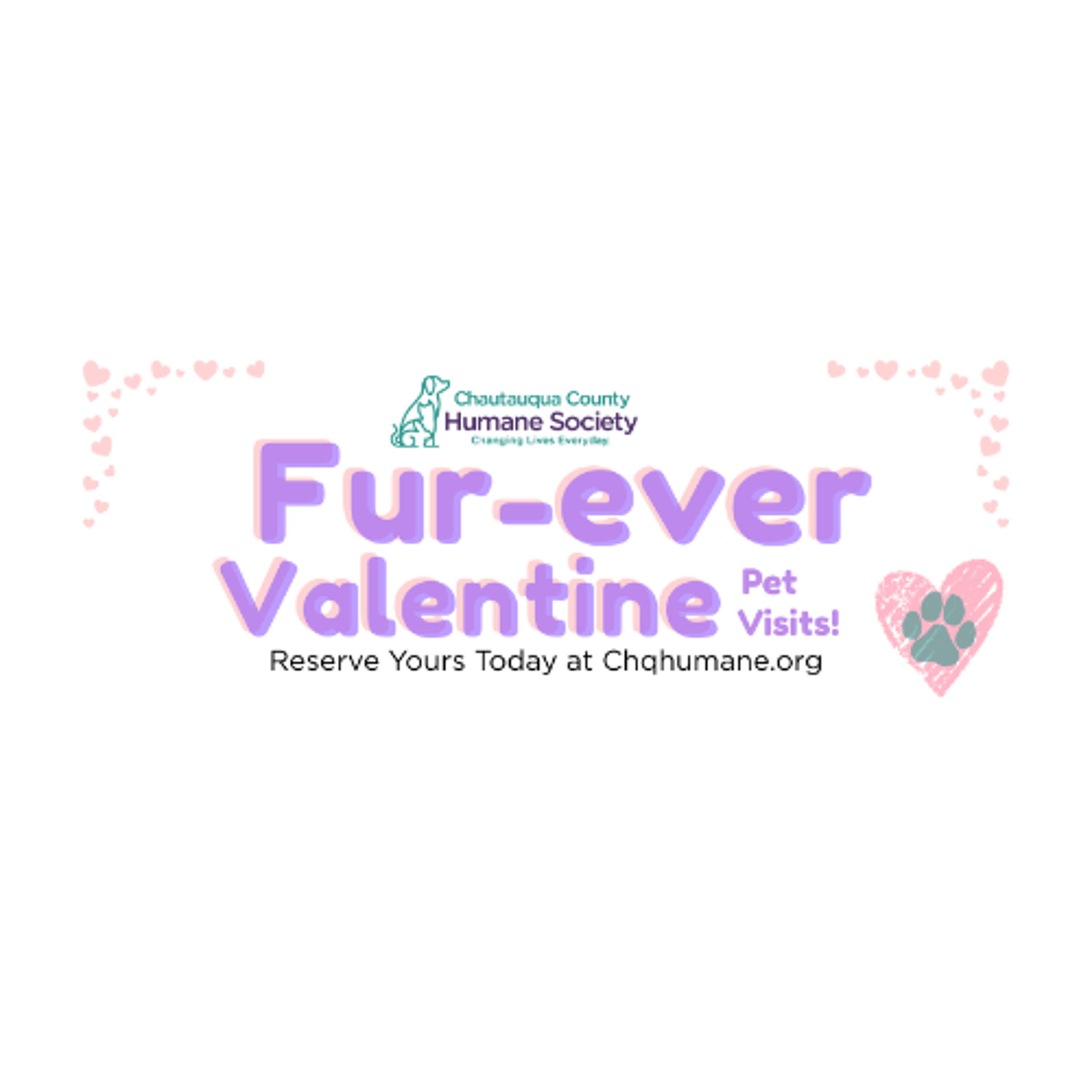 Community Matters - Chautauqua County Humane Society - February 5, 2026 episode artwork