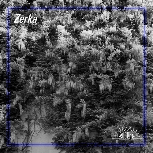 zerka @ Sublime Dub Techno Sessions