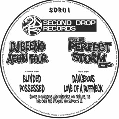SDR01 - DJ Beeno & Aeon Four - The Perfect Storm EP - Clips