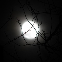 Dream Weaver (Gary Wright Cover)