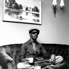 stevie (playfulljay)