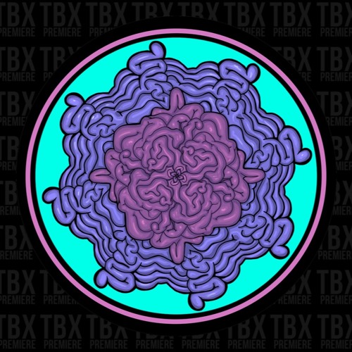Premiere: James Solace - Groove [Hot Creations]