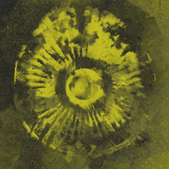 Deep Dynamics 001