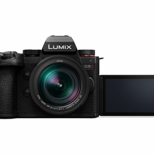 Panasonic Lumix G9II with Lumix Leica 100-400 amazes
