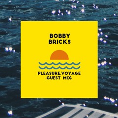 PLEASURE VOYAGE ≈ GUEST MIX 10 ≈ Bobby Bricks