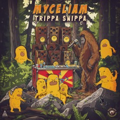 1. Myceliam & LabRat - Breaking Records