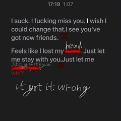 Just let me stay with you.m4a