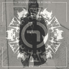 HAMMAHALLE 116 by SIGIL