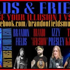 Use Your Illusion 1 vs 2 - Fields & Friends #3