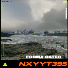 NXYYT395-CATEO