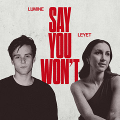 Say You Won't