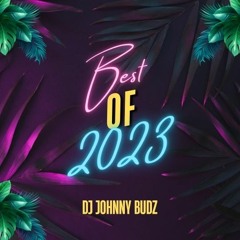Johnny Budz - Best Of 2023