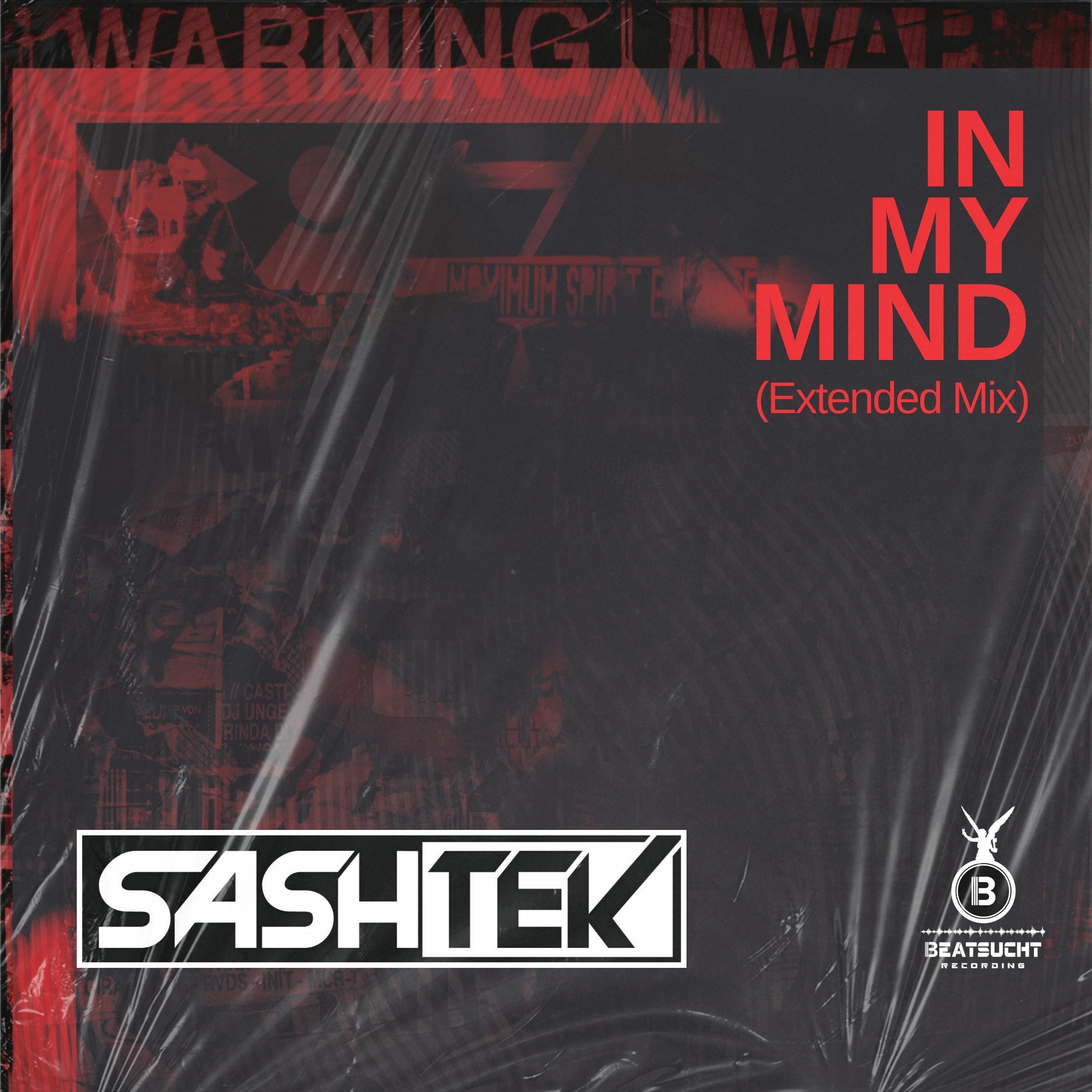 Sashtek - In My Mind (Radio Mix)