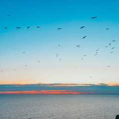 SUNSET BEATS
