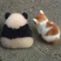 Ừ Có Em Đây - Remix