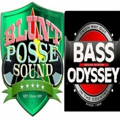 Bass Odyssey/Blunt Posse (Radio Dub Jugglin) 11/21